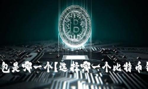 比特币最好的钱包是哪一个？选择哪一个比特币钱包更安全可靠？