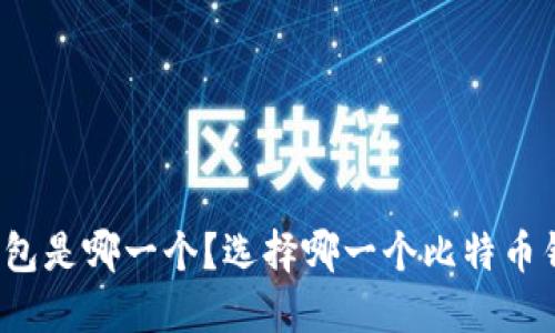 比特币最好的钱包是哪一个？选择哪一个比特币钱包更安全可靠？