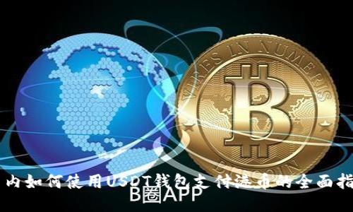 国内如何使用USDT钱包支付港币的全面指南