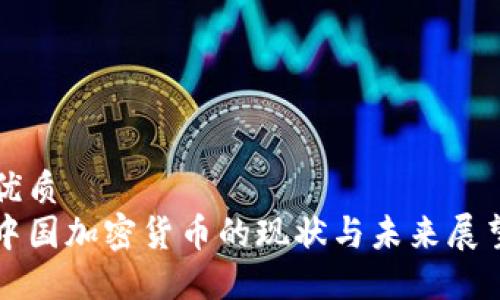 优质  
中国加密货币的现状与未来展望