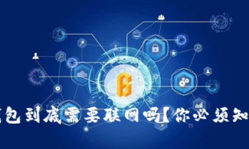 比特币钱包到底需要联网吗？你必须知道的真相