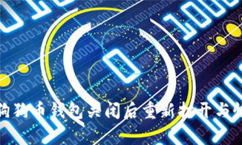 如何在狗狗币钱包关闭后重新打开与恢复资金