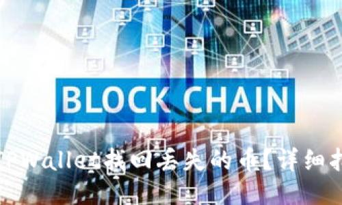 如何通过TPWallet找回丢失的币？详细指南与技巧