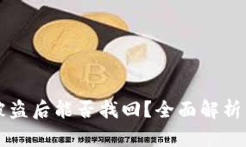 TPWallet被盗后能否找回？全面解析与应对策略