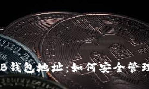 揭秘V神的SHIB钱包地址：如何安全管理你的加密资产