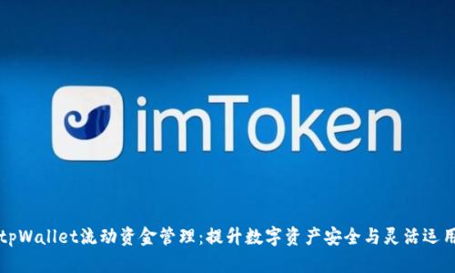 tpWallet流动资金管理：提升数字资产安全与灵活运用