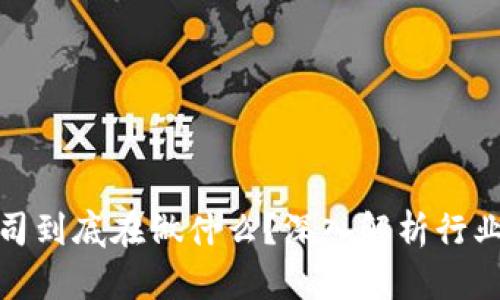 加密货币公司到底在做什么？深入解析行业运作与发展