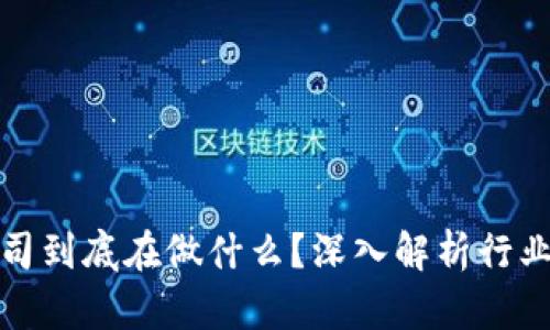 加密货币公司到底在做什么？深入解析行业运作与发展