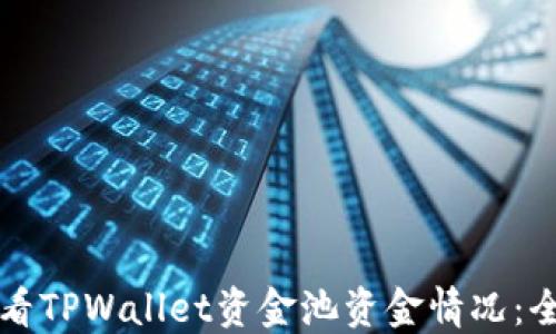 
如何查看TPWallet资金池资金情况：全面指南