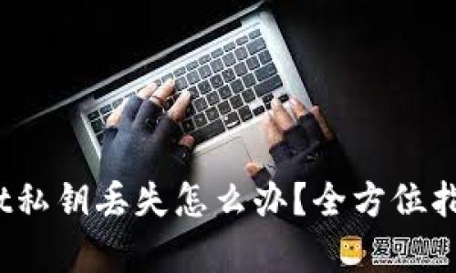 标题:tpWallet私钥丢失怎么办？全方位指导与解决方案
