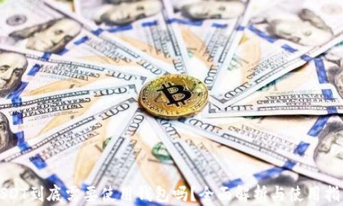 
USDT到底需要使用钱包吗？全面解析与使用指南