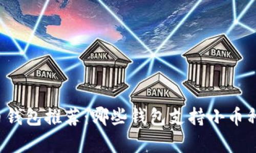 比特币钱包推荐：哪些钱包支持小币种存储？