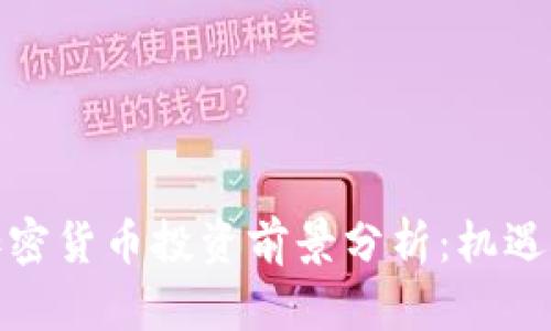 数字加密货币投资前景分析：机遇与挑战