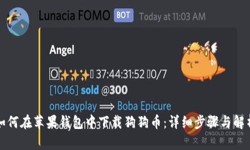 如何在苹果钱包中下载狗狗币：详细步骤与解析