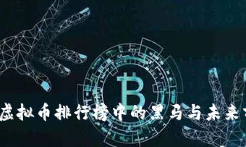 狗狗币：虚拟币排行榜中的黑马与未来前景分析