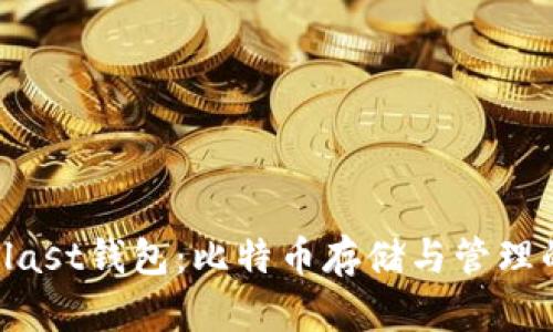 全面解析Blast钱包：比特币存储与管理的最佳选择