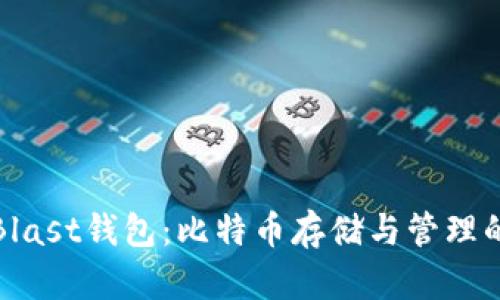 全面解析Blast钱包：比特币存储与管理的最佳选择