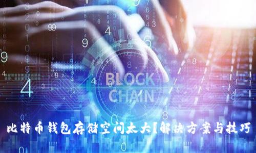 比特币钱包存储空间太大？解决方案与技巧