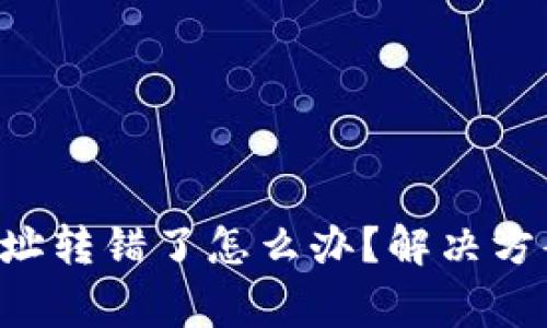 TP Wallet地址转错了怎么办？解决方案与注意事项