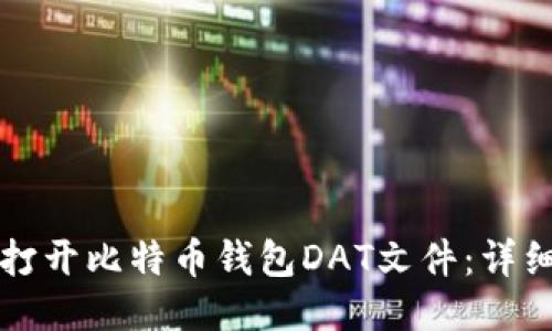 如何打开比特币钱包DAT文件：详细指南