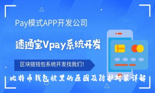 比特币钱包被黑的原因及防护对策详解