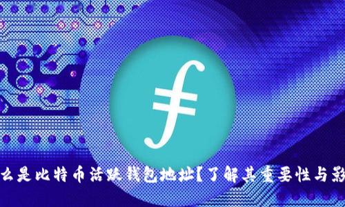 什么是比特币活跃钱包地址？了解其重要性与影响