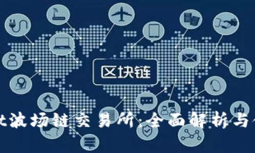 tpwallet波场链交易所：全面解析与使用指南