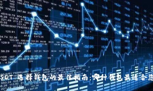 USDT 选择钱包的最佳指南：哪种钱包最适合您？