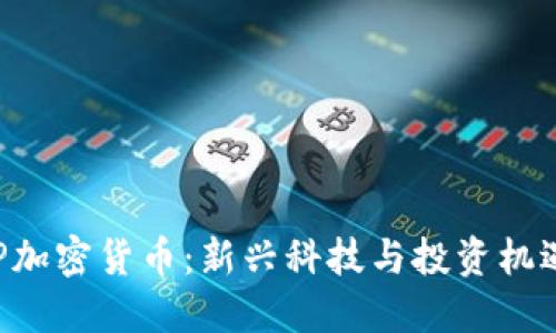 英国NLP加密货币：新兴科技与投资机遇的结合