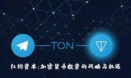 红彬资本：加密货币投资的战略与机遇