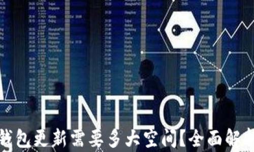 
比特币钱包更新需要多大空间？全面解析与建议