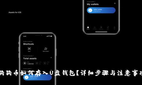 狗狗币如何存入U盘钱包？详细步骤与注意事项