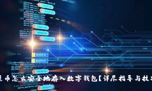 屎币怎么安全地存入数字钱包？详尽指导与技巧