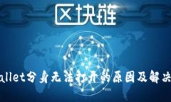 TPWallet分身无法打开的原因