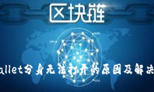 TPWallet分身无法打开的原因及解决方案