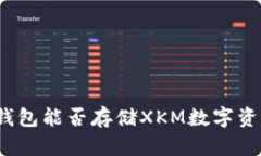 TP钱包能否存储XKM数字资产？