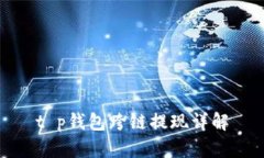 t p钱包跨链提现详解